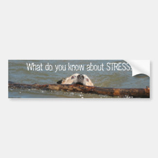 What do you know about STRESS? Bumper Sticker