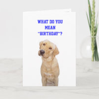 What do you mean"birthday"?