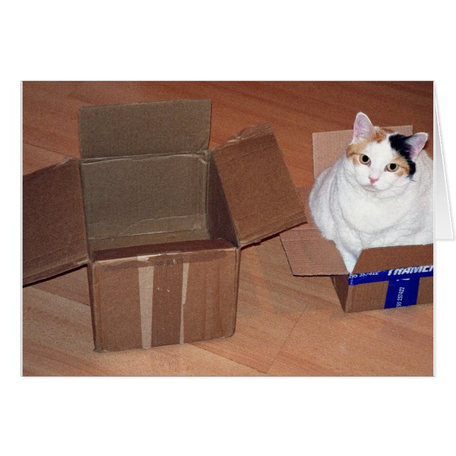 What do you mean I need a bigger size? (Front Horizontal)