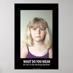 What Do You Mean Poster