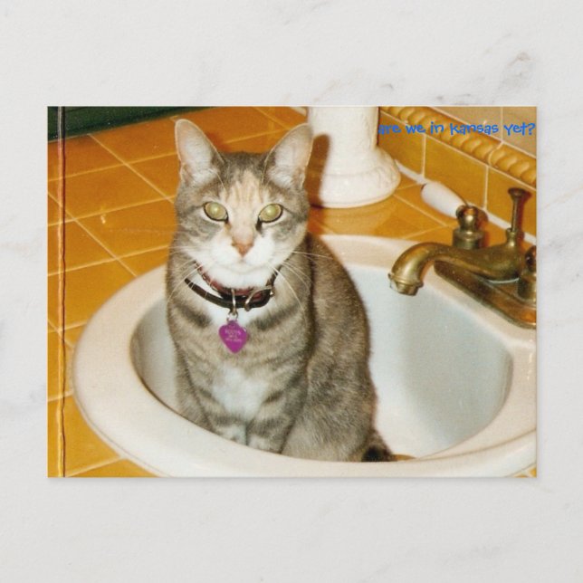 what do you think i want? postcard (Front)