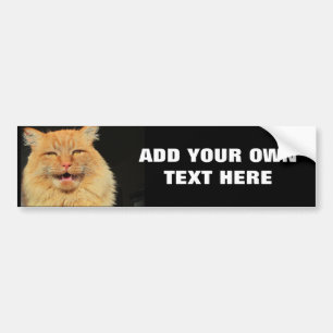 What does the Cat Say? Bumper Sticker