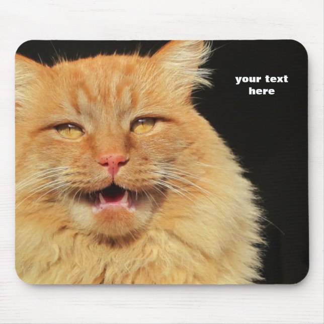 What does the Cat Say? You Decide Mouse Mat (Front)