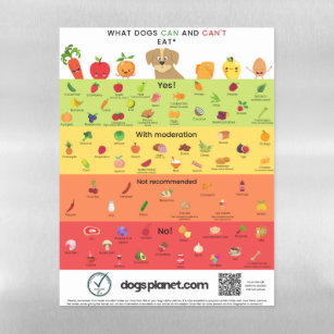 What dogs can and can't eat - Fridge magnet Magnetic Dry Erase Sheet