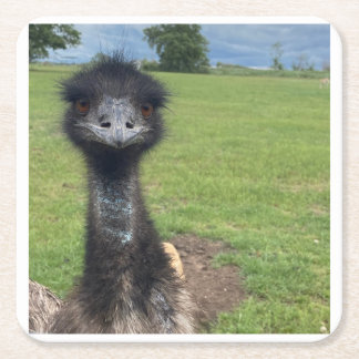 What EMU are you looking at? Square Paper Coaster
