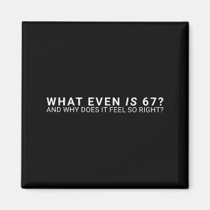 What Even Is 67 Meme  Magnet