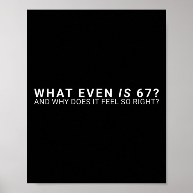 What Even Is 67 Meme  Poster (Front)