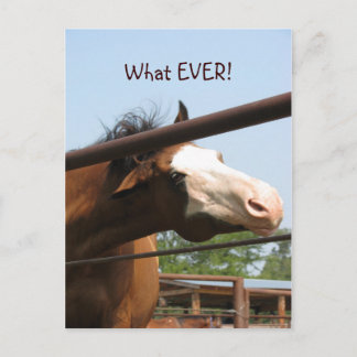 What EVER! Postcard