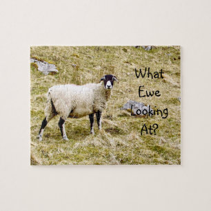 What Ewe Looking At? Jigsaw Puzzle