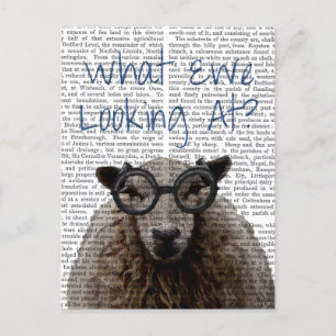 What Ewe Looking At Postcard