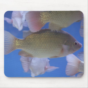 What for Dinner? Mouse Mat