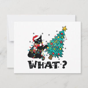 WHAT Funny Black Cat Santa Pushing Christmas Tree Holiday Card