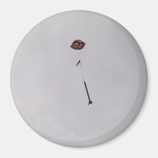 What Goes Up...Magnet Magnet