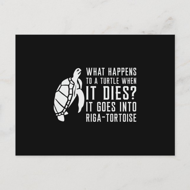 What Happens To A Turtle Lover Turtles Funny Gift Postcard (Front)