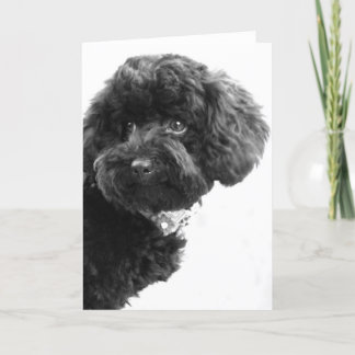 What? Holiday Card