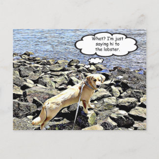 What? I'm just going to say hi to the lobster Postcard