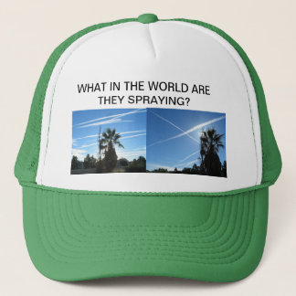 WHAT IN THE WORLD HAT