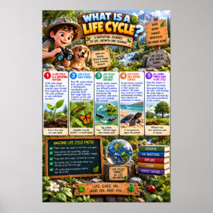 What Is a Life Cycle Infographic Poster