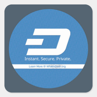 What is Dash S1 Square Sticker