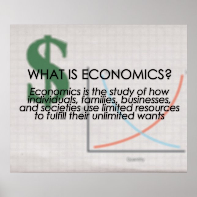 What is Economics? *UPDATED* Poster (Front)