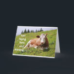 WHAT IS IT LIKE TO BE TURNING **21** ASKS COW CARD<br><div class="desc">THIS COW IS SO COOL... I MEAN HOW OFTEN TO THEY ACTUALLY "POSE" RIGHT? HE SURE HOPES YOUR FRIEND OR FAMILY MEMBER HAS A HAPPY "21st" BIRTHDAY!!!! THANKS FOR STOPPING BY 1 OF MY 8 STORES!!!!</div>