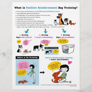 What is Pos Reinf. Dog Training? FLYERS