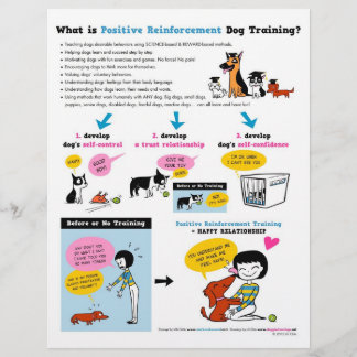 What is Pos Reinf. Dog Training? FLYERS