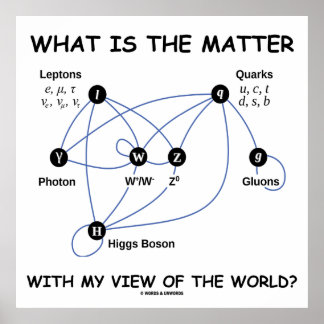 What Is The Matter With My View Of The World? Poster