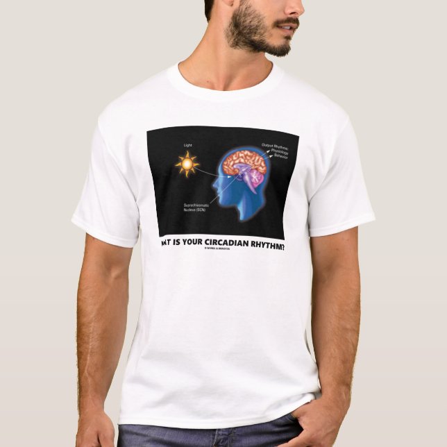 What Is Your Circadian Rhythm? T-Shirt (Front)