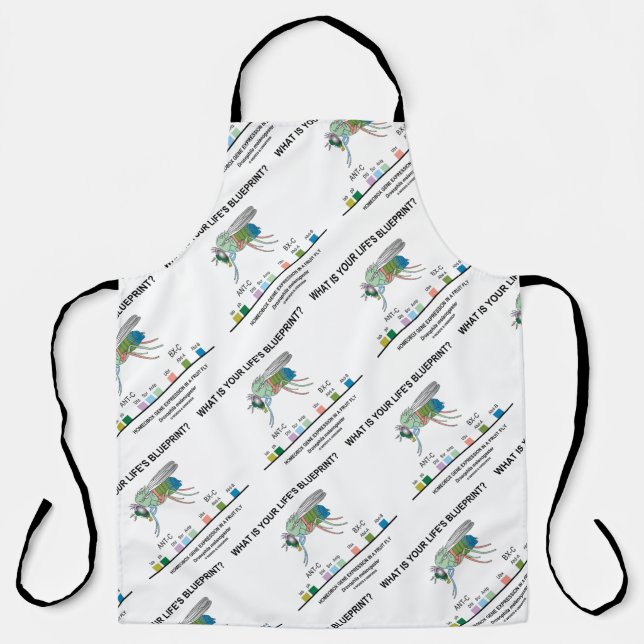 What Is Your Life's Blueprint? Drosophila Biology Apron (Front)