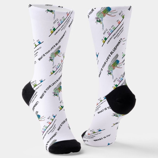 What Is Your Life's Blueprint? Drosophila Biology Socks (Angled)