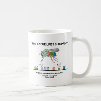 What Is Your Life's Blueprint? (Gene Expression) Coffee Mug
