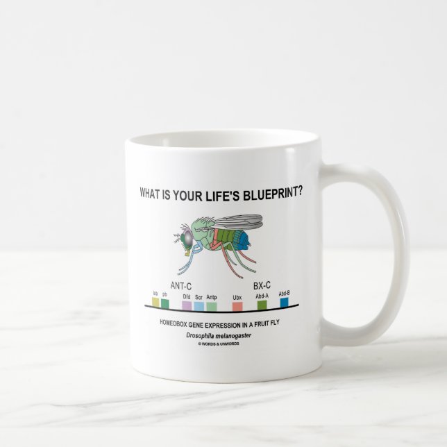 What Is Your Life's Blueprint? (Gene Expression) Coffee Mug (Right)