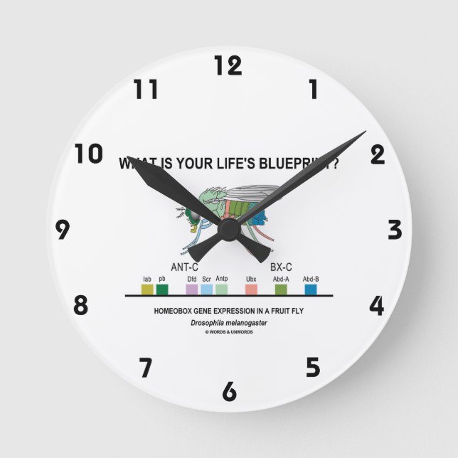 What Is Your Life's Blueprint? (Gene Expression) Round Clock (Front)