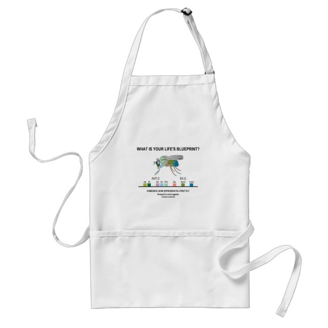 What Is Your Life's Blueprint? (Gene Expression) Standard Apron (Front)