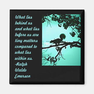 What Lies Within Magnet