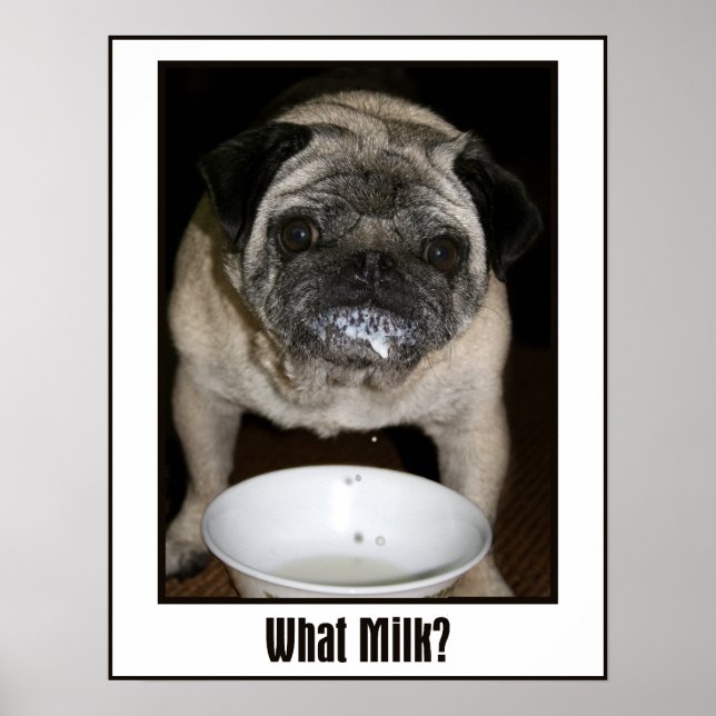 What Milk? Poster (Front)
