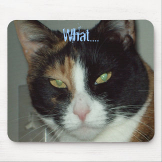 What.... Mouse Mat