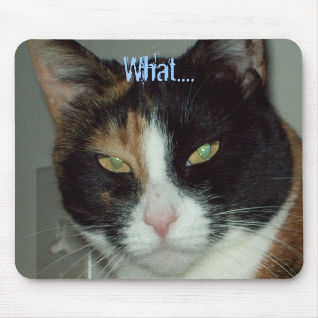 What.... Mouse Mat (Front)