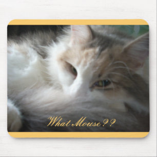 What Mouse?? Mouse Mat