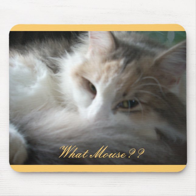What Mouse?? Mouse Mat (Front)