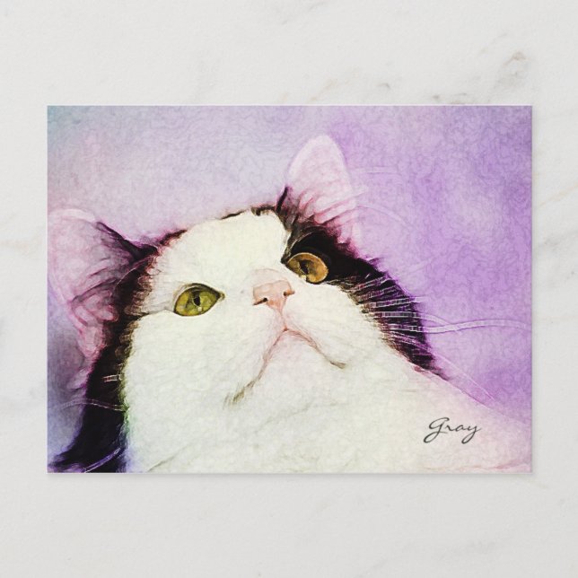 What Mouse? Postcard (Front)