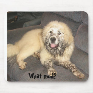 What Mud? Mouse Mat
