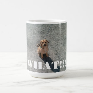 "What !?!" Mug