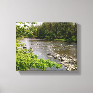 What Nature Provides Canvas Print
