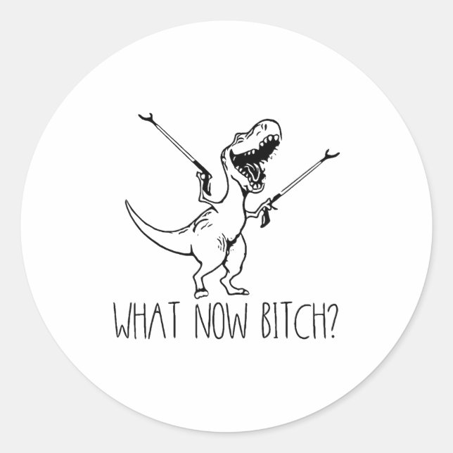 What Now Bich Funny T Rex Dinosaur Saying Quote Me Classic Round Sticker (Front)
