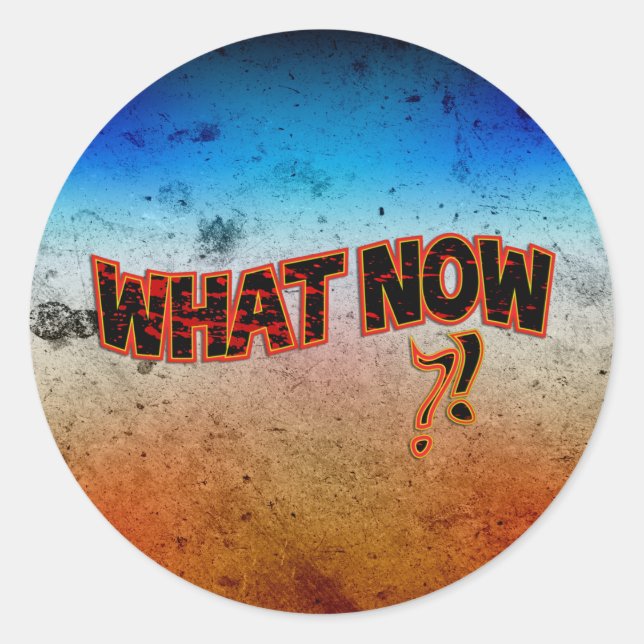 What Now ?! Classic Round Sticker (Front)