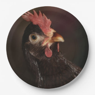 What? Paper Plate