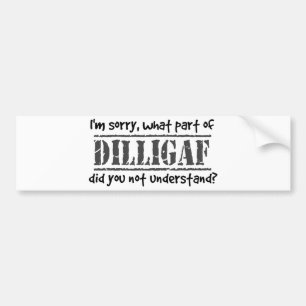 What part of DILLIGAF did you not understand? Bumper Sticker