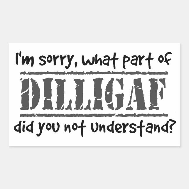 What part of DILLIGAF did you not understand? Rectangular Sticker (Front)